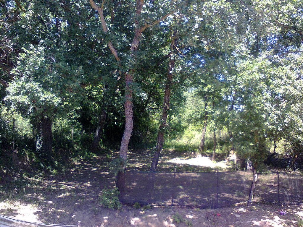 Agriturismo San Pietro Gangi Extérieur photo