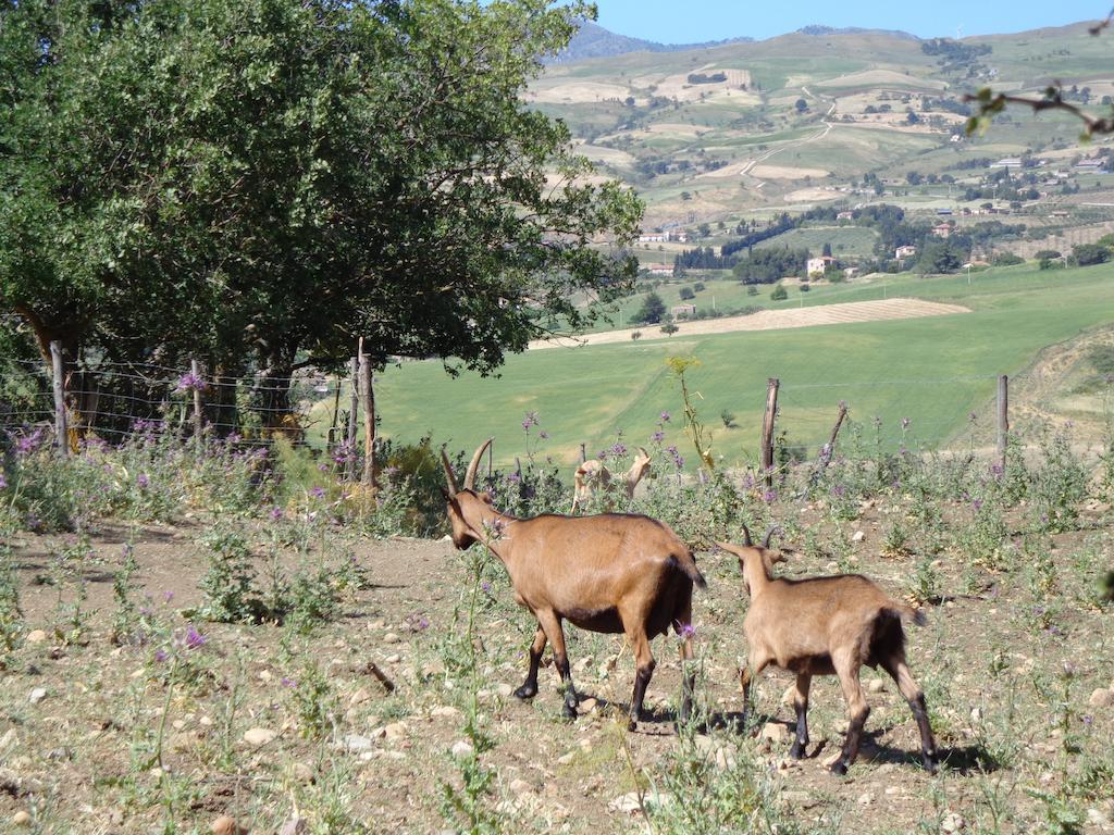 Agriturismo San Pietro Gangi Extérieur photo